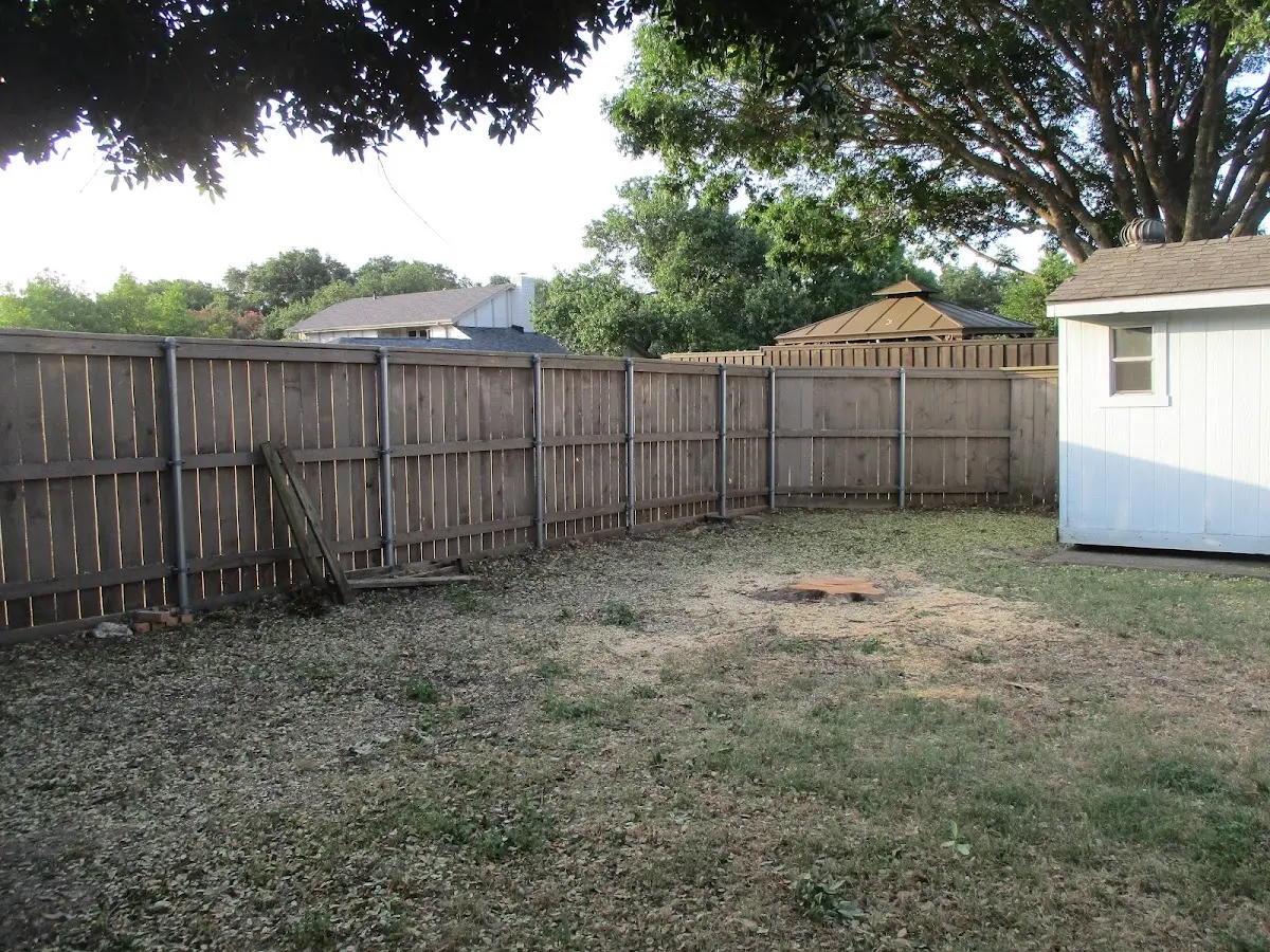 Cleared yard after professional tree removal in Goodwater