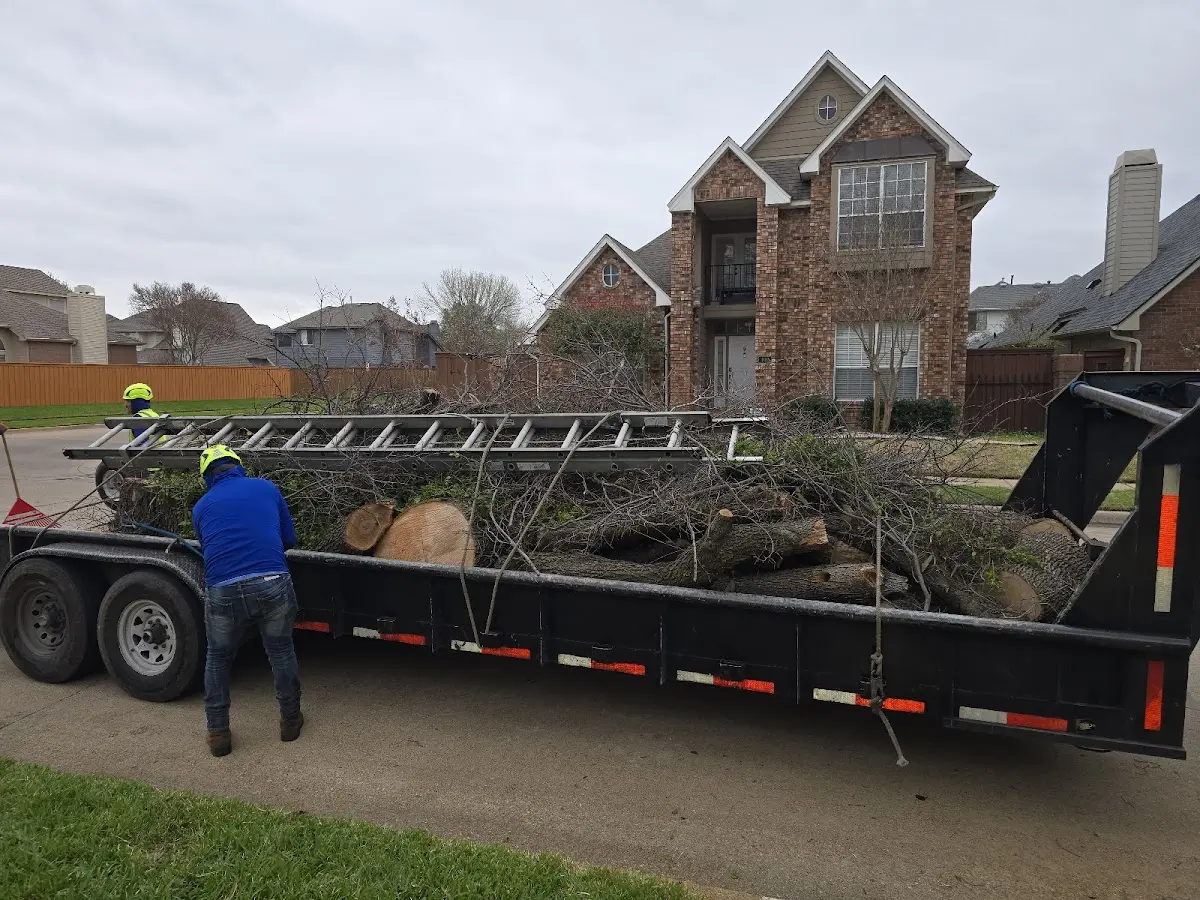 Expert Tree Pest Control with proper safety equipment in Goodwater